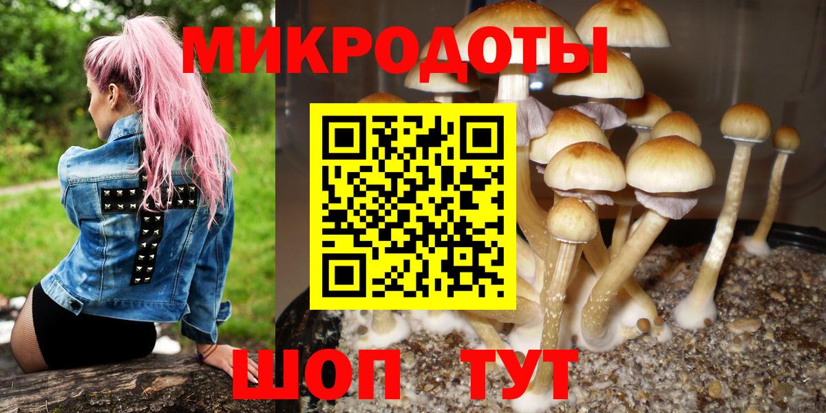 Псилоцибиновые грибы мицелий Северобайкальск