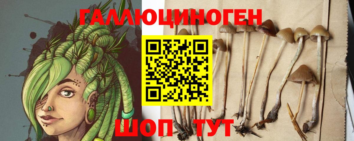 Галлюциногенные грибы MAGIC MUSHROOMS  Вход с VPN  Северобайкальск 