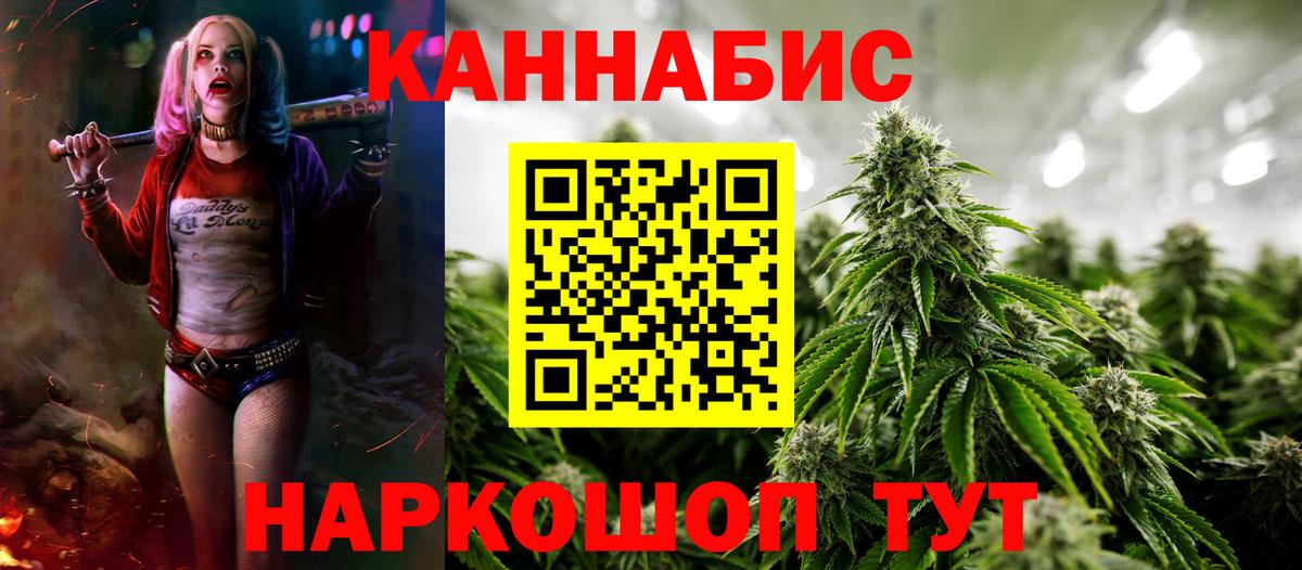 Шишки марихуана планчик Северобайкальск